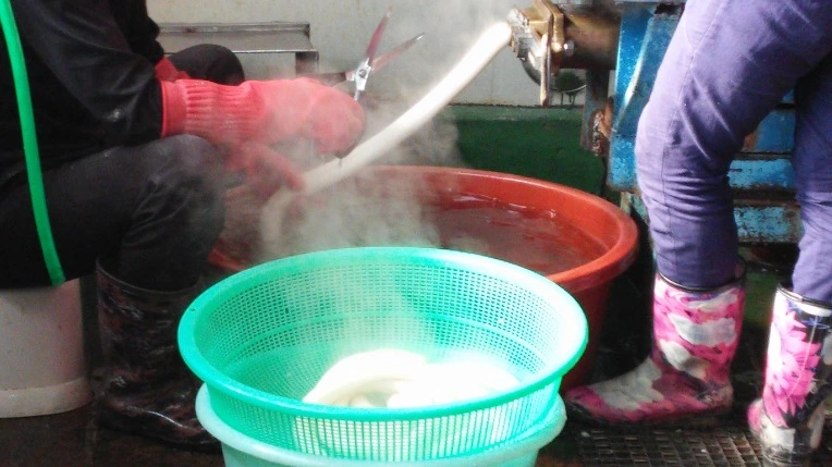 25295834588319000BCA1D