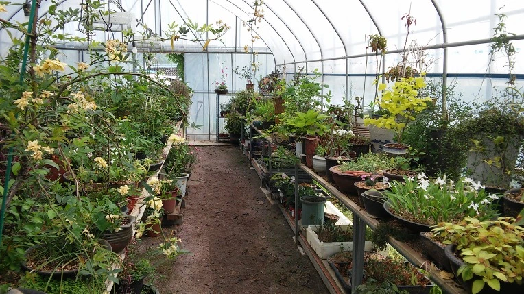 276EDB4757246937170635