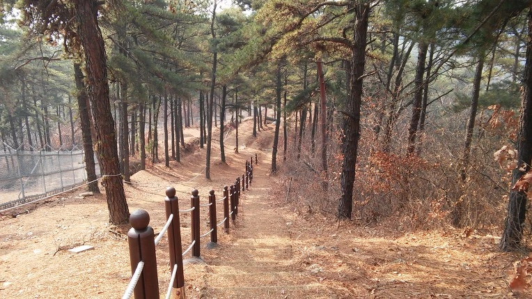 2506414E58B36657210255