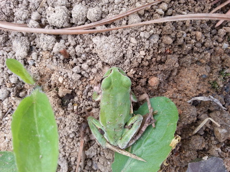 2160EE4B56B02A2E1008A9