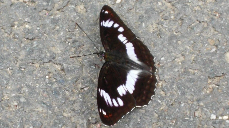 2528E1415699F7602F5314