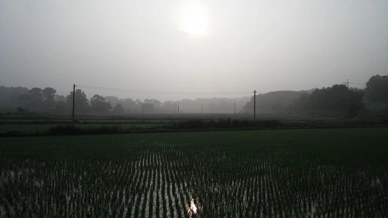 2517DE335758ED6E1B5B55