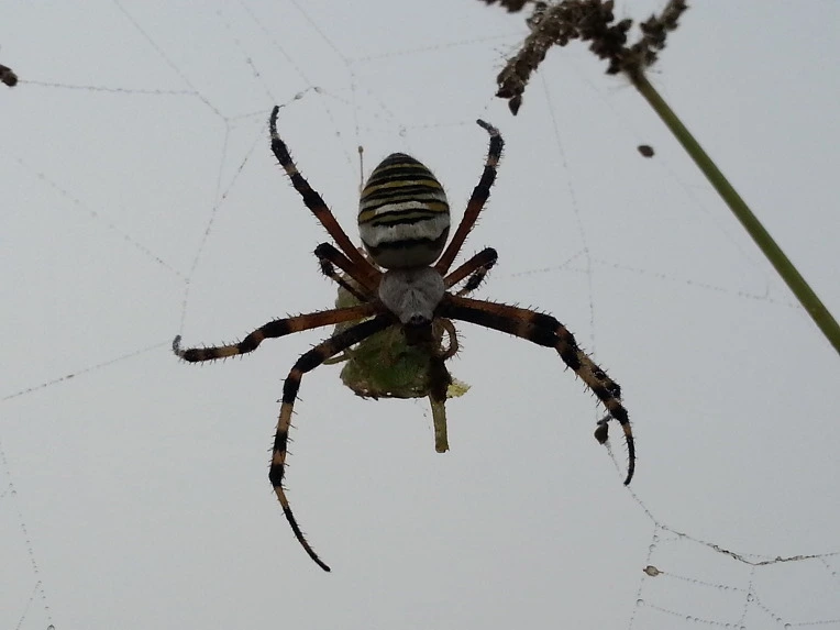 2623314E553D9D1E359A39