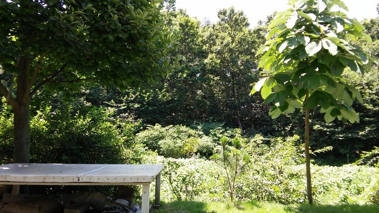 266A103B57919E5730A6CB