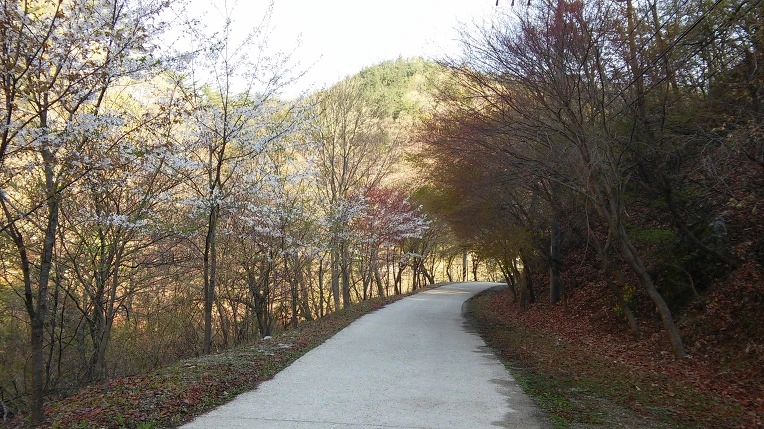 21264A3758FBF7BC05F93B