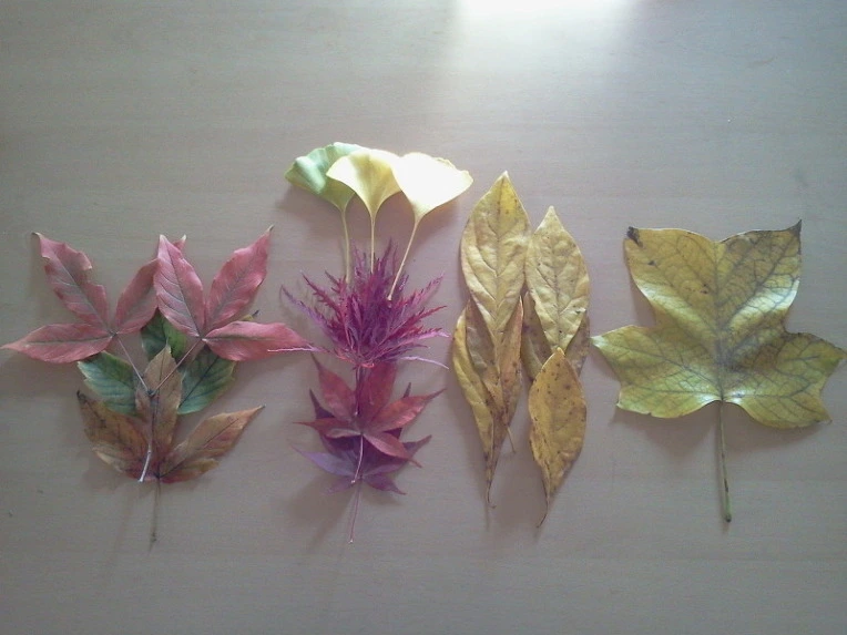 276CFA3A5424173D1AD110