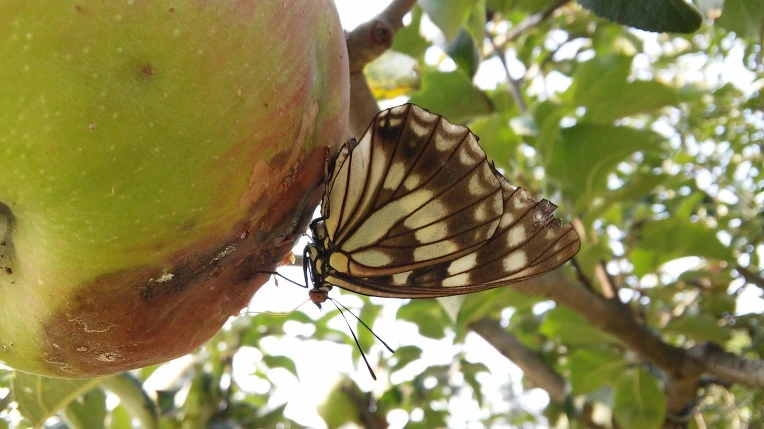 232DAF4D57C7943822CC4C