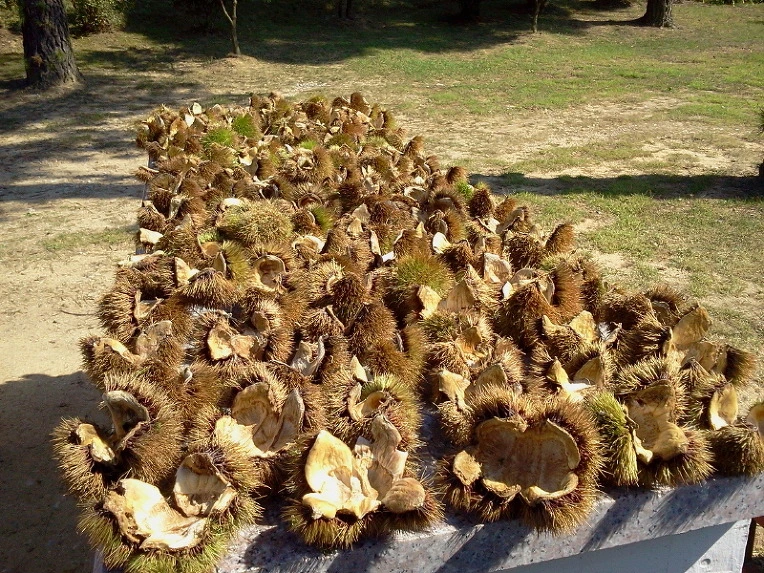 2557793B542418571BB15D