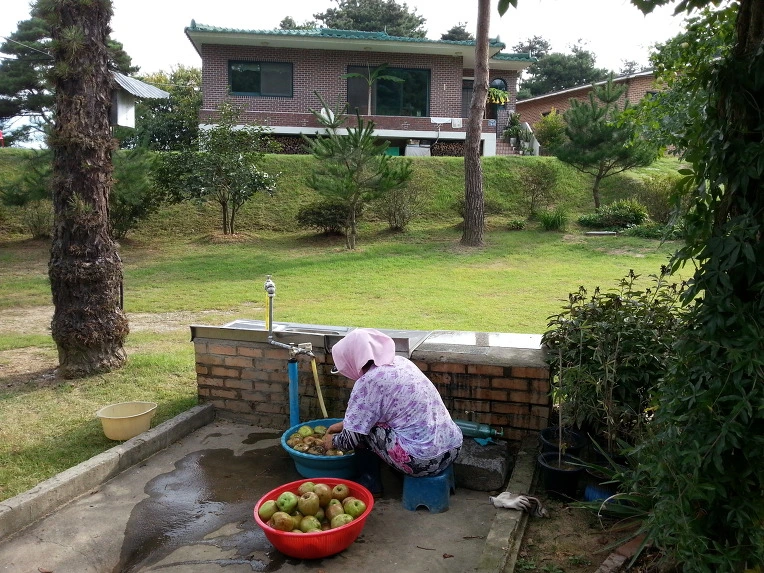 211D0046541A886A284CD9