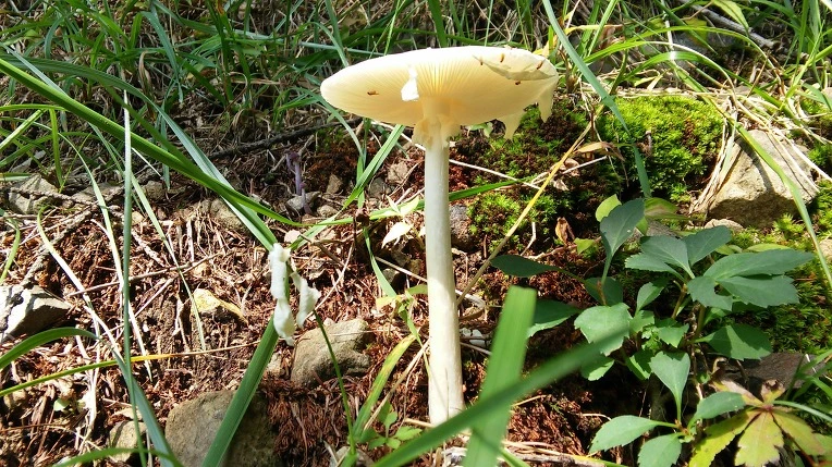 2377BB4555DFEEF9209F09