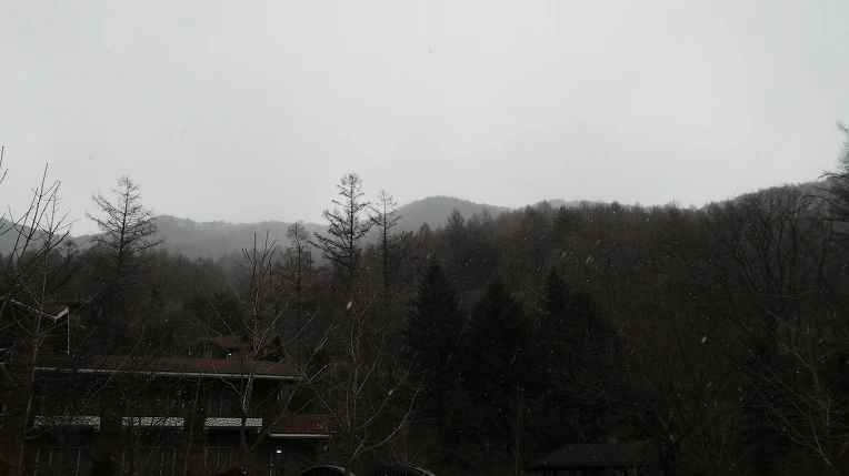 21355D3A56F721B7073FDA