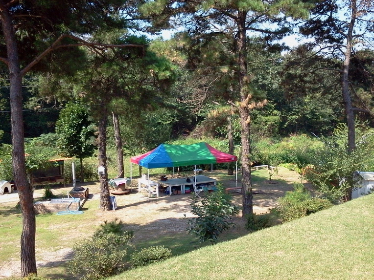 2378F04C586C9D120EC198