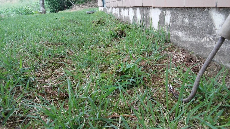 256B4B3757D4AE4B35CD82