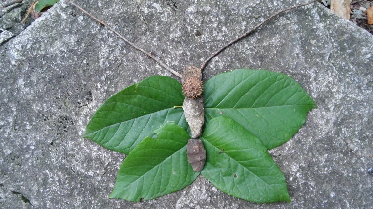 240F873D560FBC0431EB64