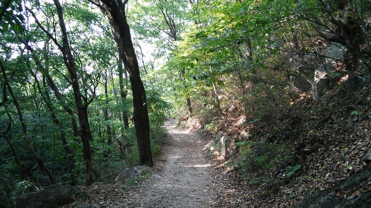 212C1C42560FBC8037FCA5