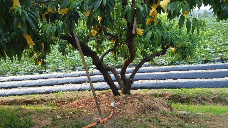 2463633A5764955D1A5E94