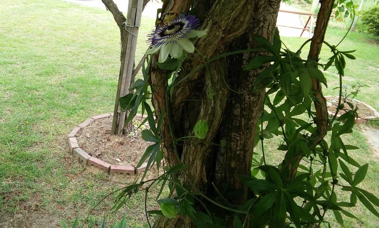 2771484C575E424A0C3BBF