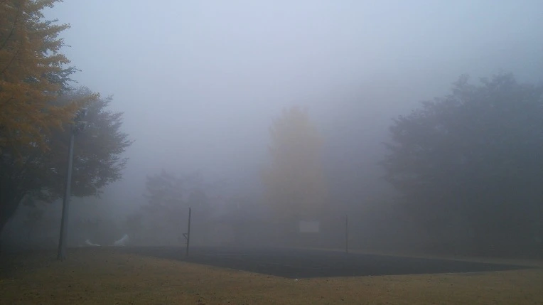 2756D44556281E07329587