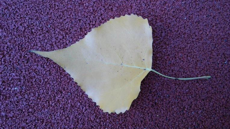 237B3A3C57EB35771A76B7