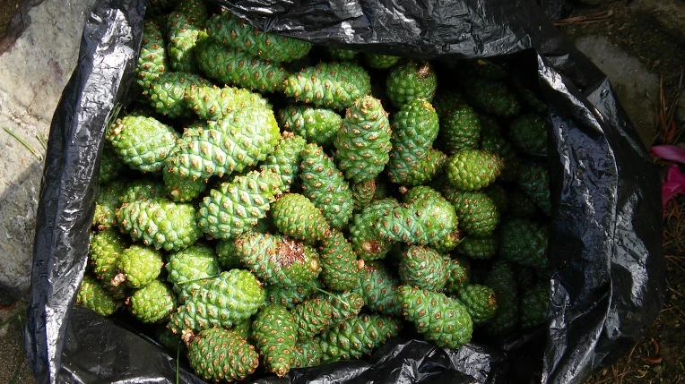 2713C6355747BAB20CF25D