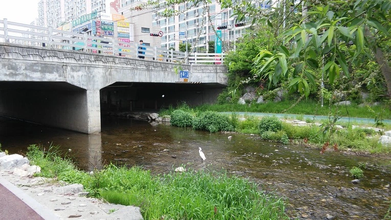 26107A48572561B926E5AB