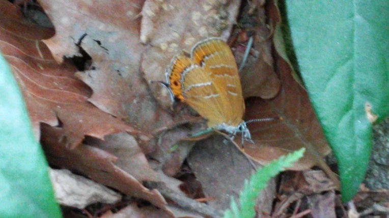 236EEA435699F31226A058