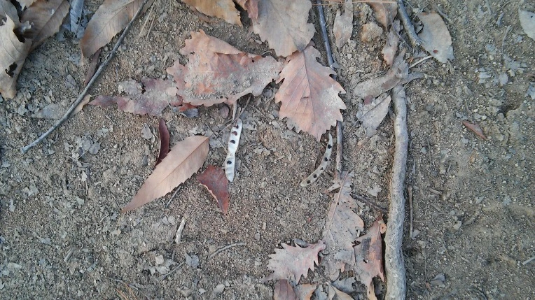 242BF04D58A7C3230FC4DB