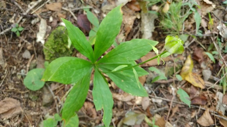 9946CB355DBE67D30DB430