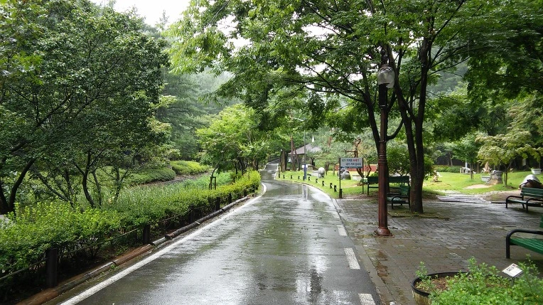 247A5D33562BFAF4107843