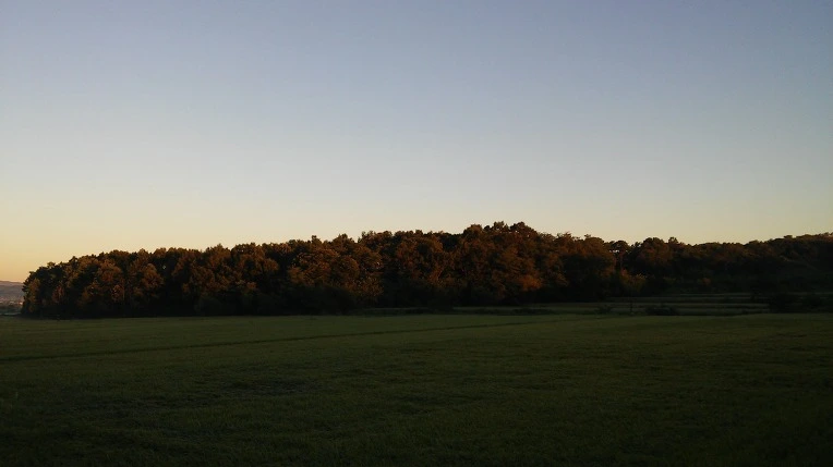 2575384557C0C73F1A70BA