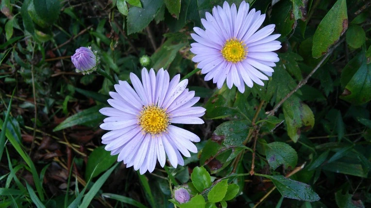 2530B64D57982E66122058