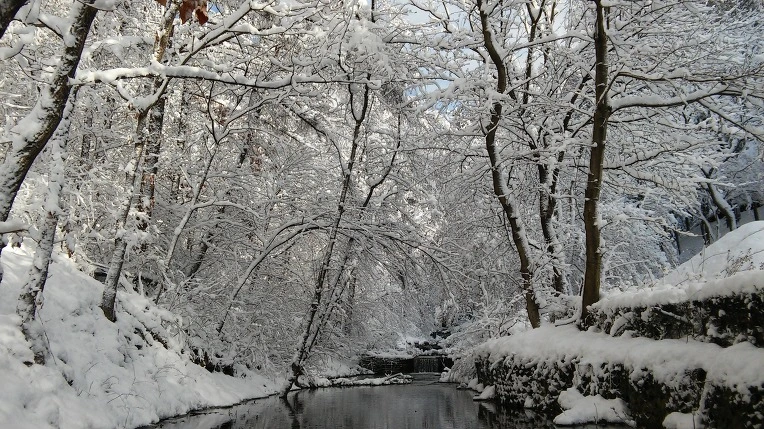 276F9A3E566120D80F9158