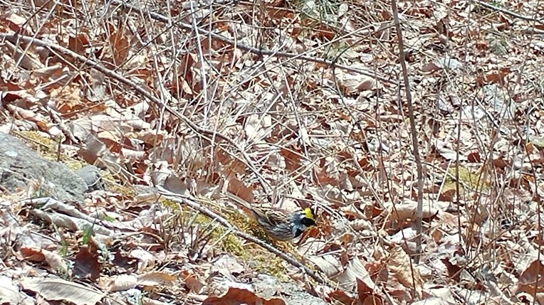 9995A1485AC8A225168079