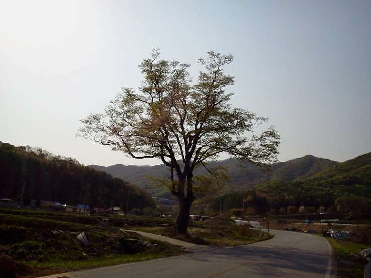 2544BB48547F927D25ADCE