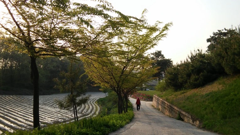 24303735571DF43B3DE96B