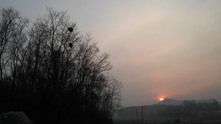 2611584758BBE7C3263BD9