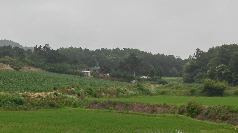 27639F4C575E42F31FCCCB