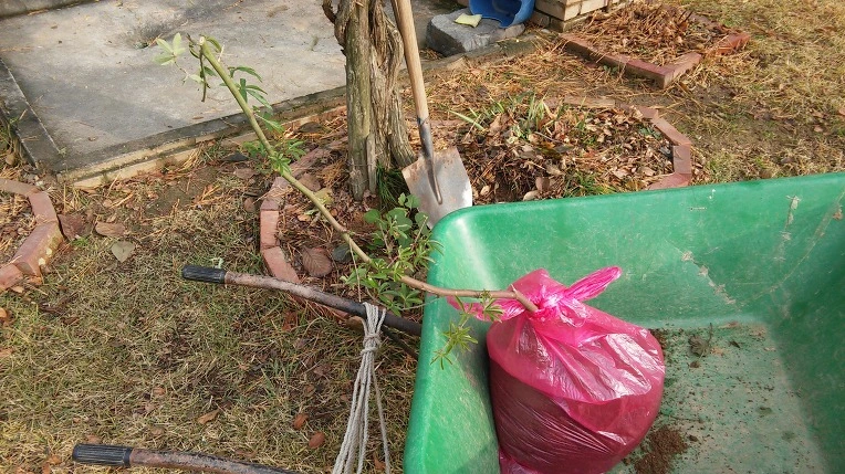 210A143B5827CF4B34D5C4