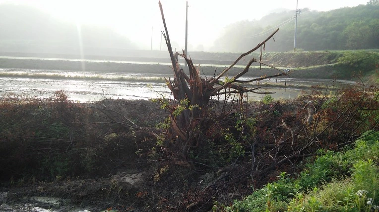 22419C34572E66D125EE4E