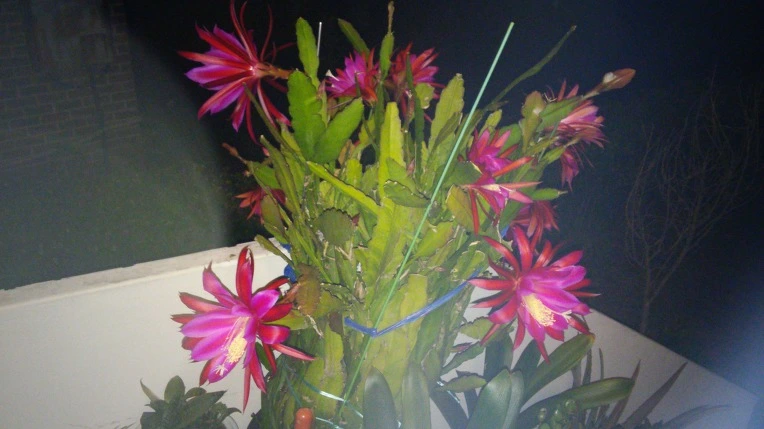 22018A40574590AE19A1F5