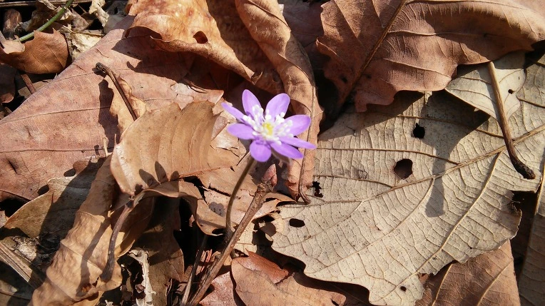 2538BD46550D06AE15BC3D