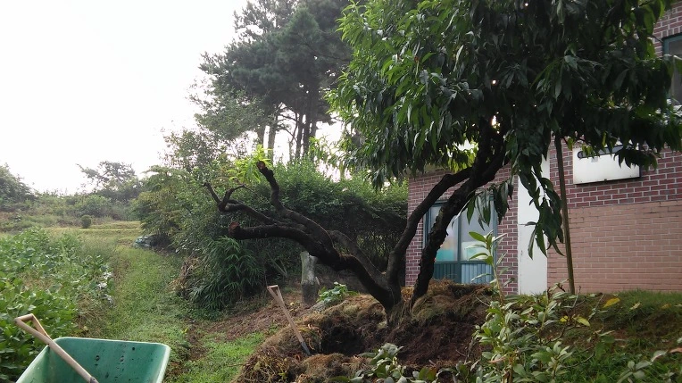 2352F93957D0BA0931EE8C