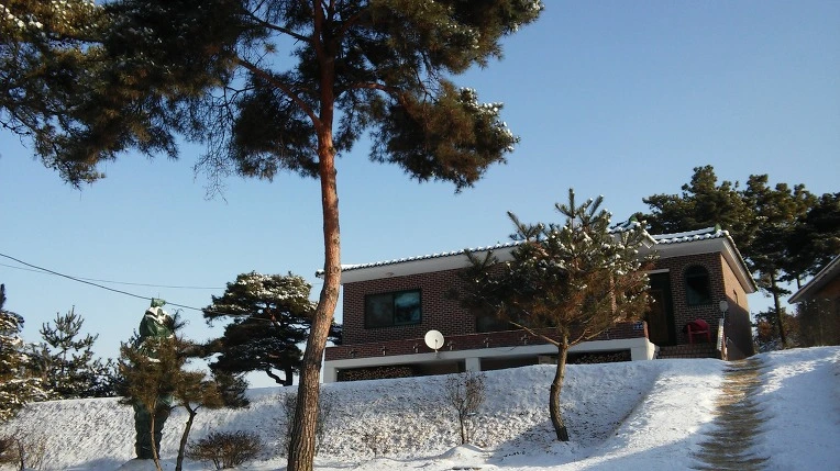 247E3A3658845D6D2A0AD5