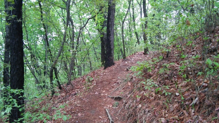 273EAD4A571AD00810A43D