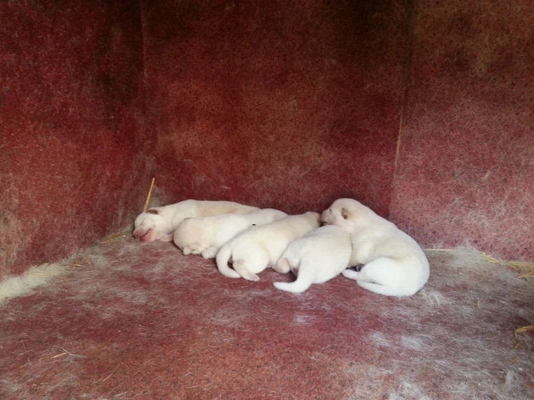 0268D03C51B7EB5F1C1FBE