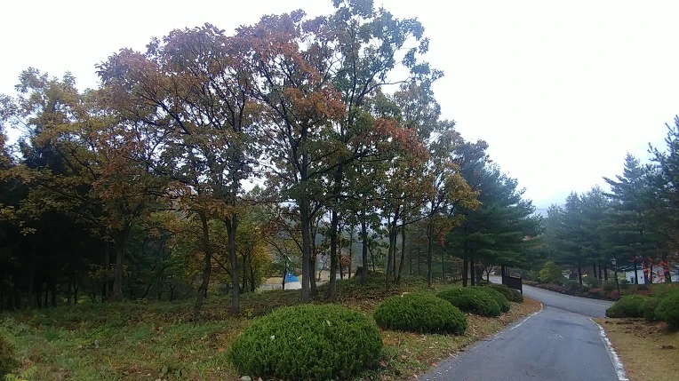 9990E6475BD65E64045D27