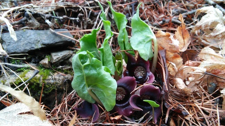 2651393B58E5DE491EA375