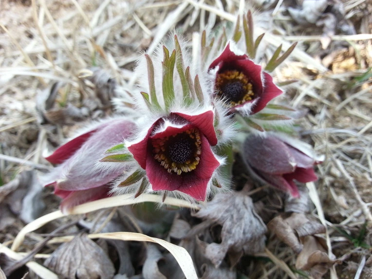 23428635564E7CDE1503CB