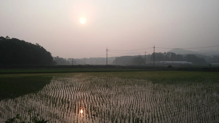 2527D04F574D38A7064BA4