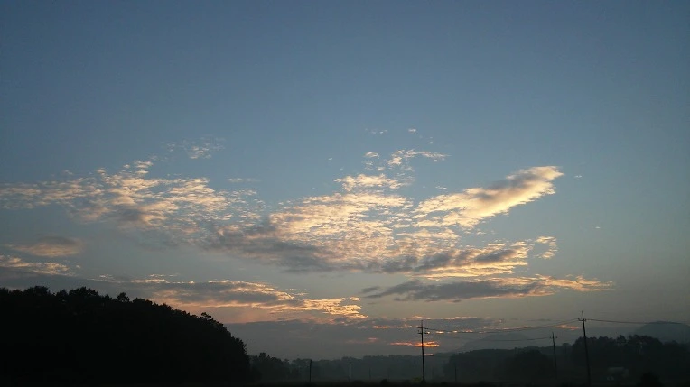 262EB74457C4C10E0F4A06